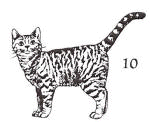 cat stamp 10