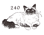 cat stamp 240